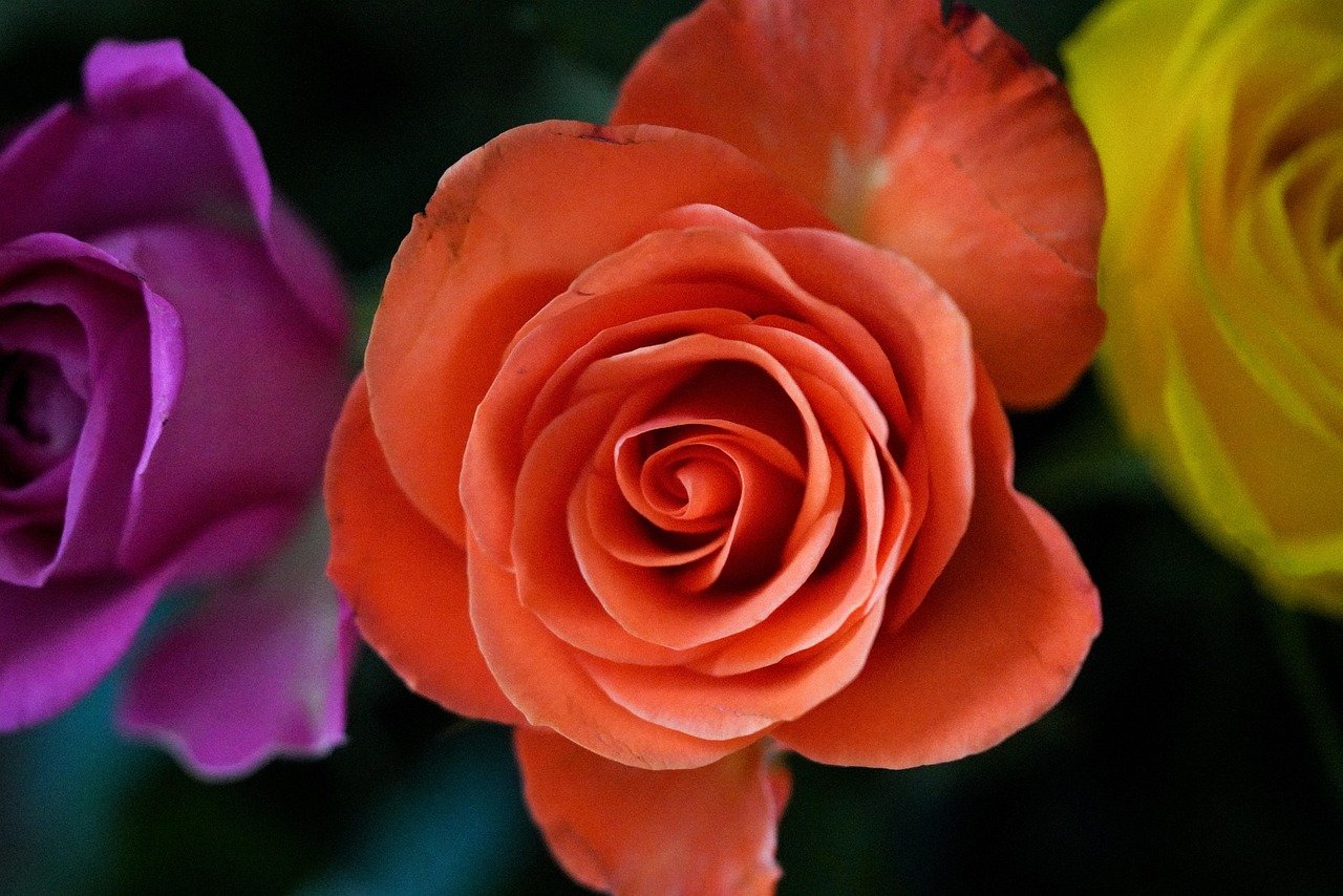 Preview: UFC 182 ‘Jones vs. Cormier’ – Sherdog